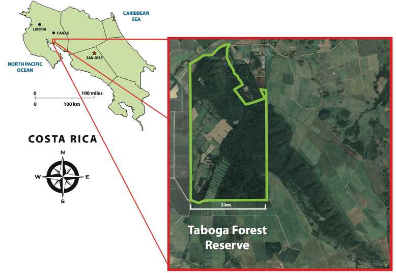Map of the Taboga Forest Reserve in Costa Rica