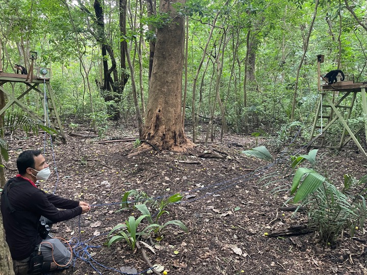Photo of platform setup in the field