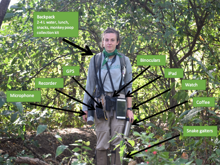 Photo of field worker in field gear