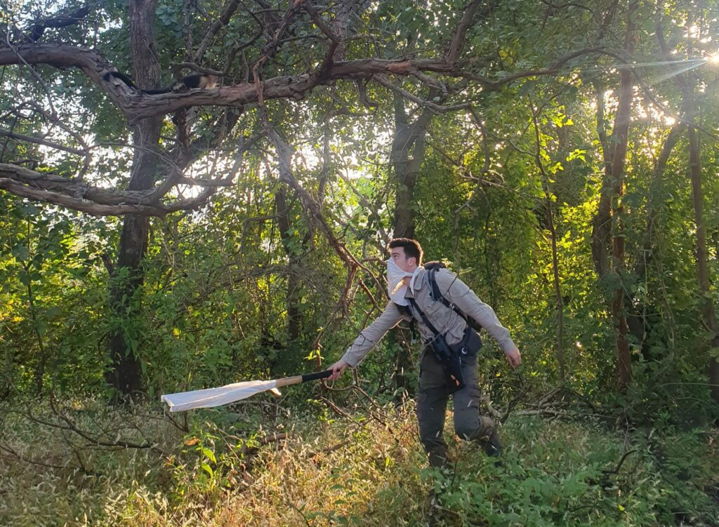 Photo of team member collecting a urine sample