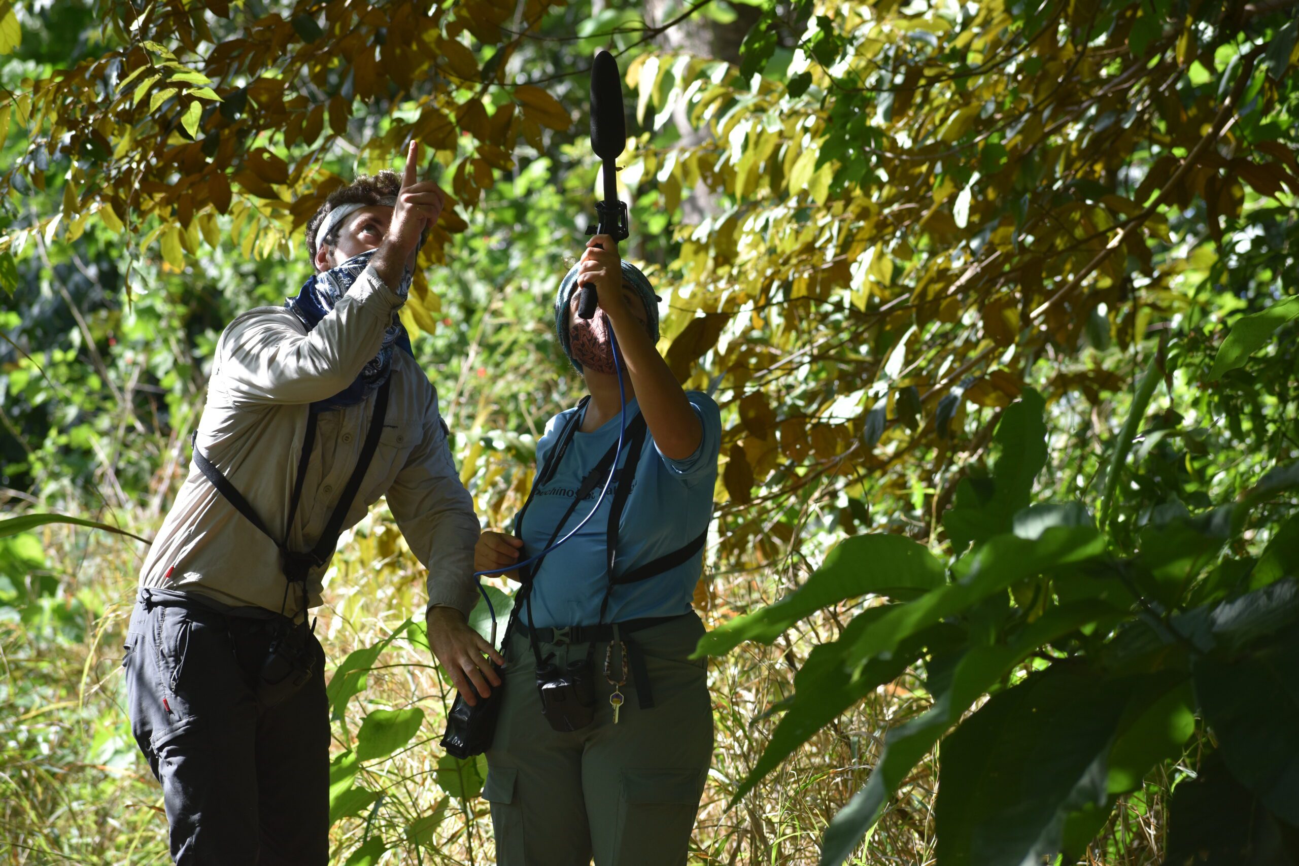 Photo of team members recording capuchin vocalizations