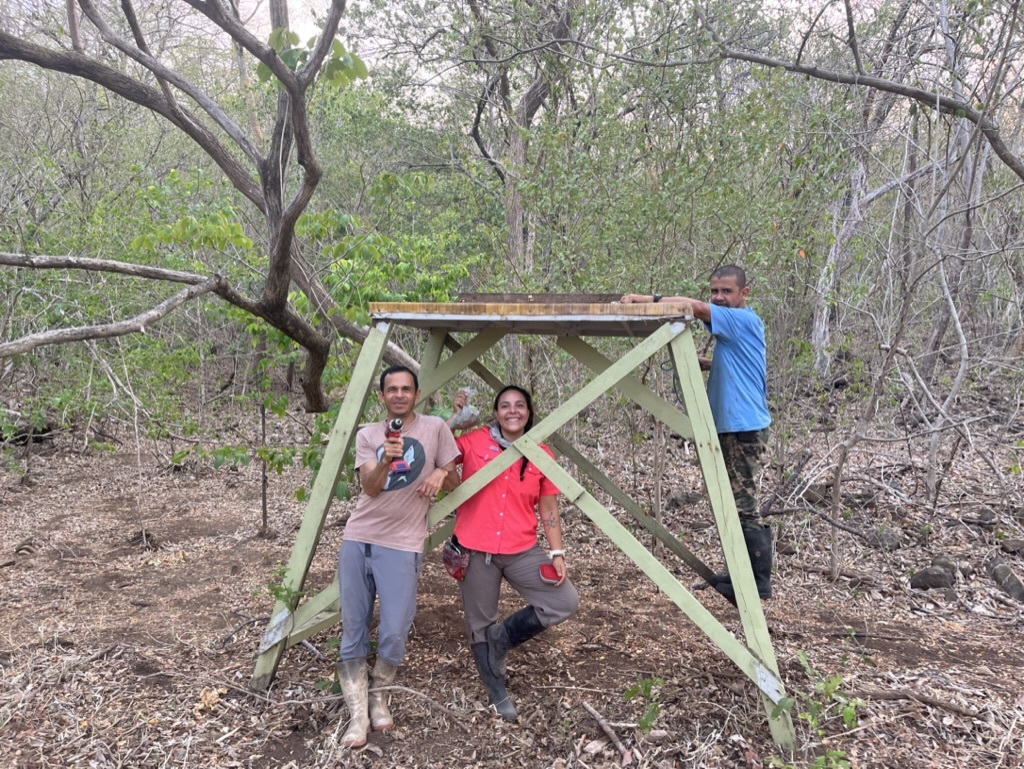 C7FDD097-68D3-4079-A4E3-9853064BDEC2_1_105_c