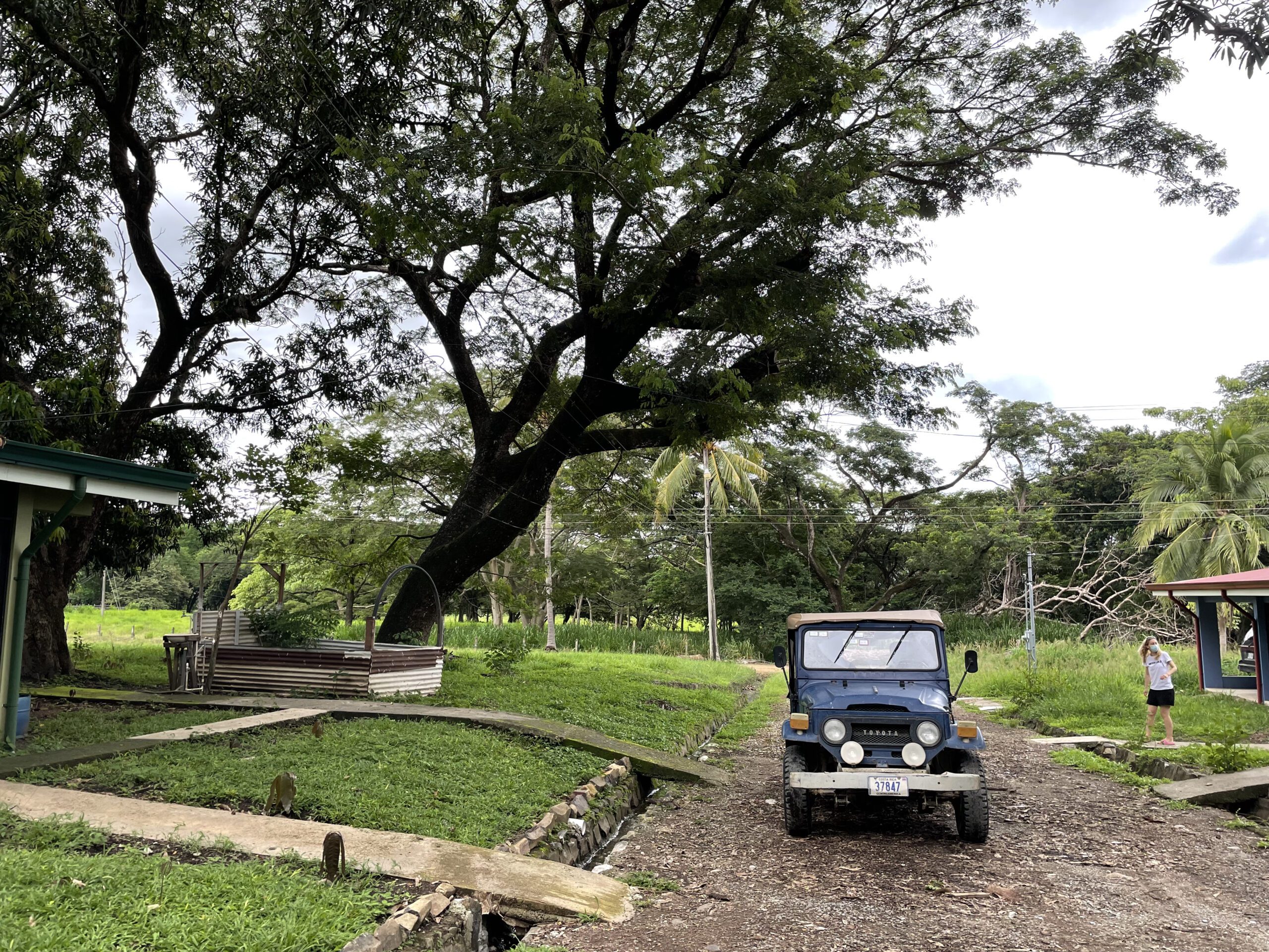 Photo of camp area at Taboga