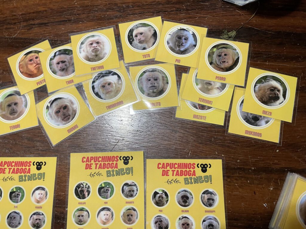 Photo of capuchin bingo cards